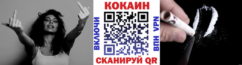 купить Енисейск КОКАИН Fish Scale