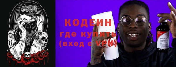дурь Вяземский