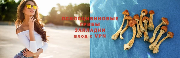 сатива Абинск