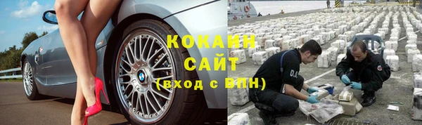 сатива Абинск