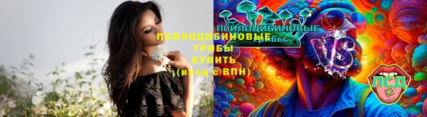 трава Алзамай
