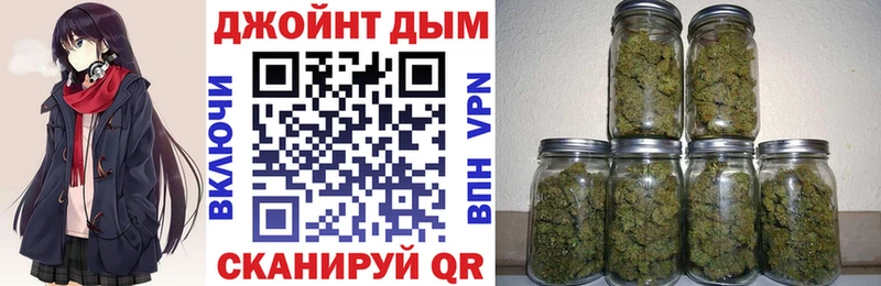 Каннабис гибрид  Енисейск 